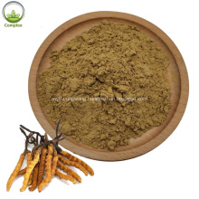 Factory supply best quality cordyceps sinensis extract powder